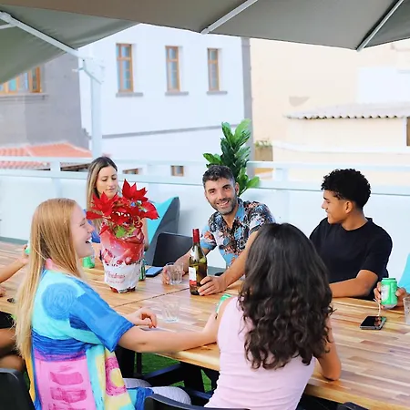 Palmas Nest بيت شباب *