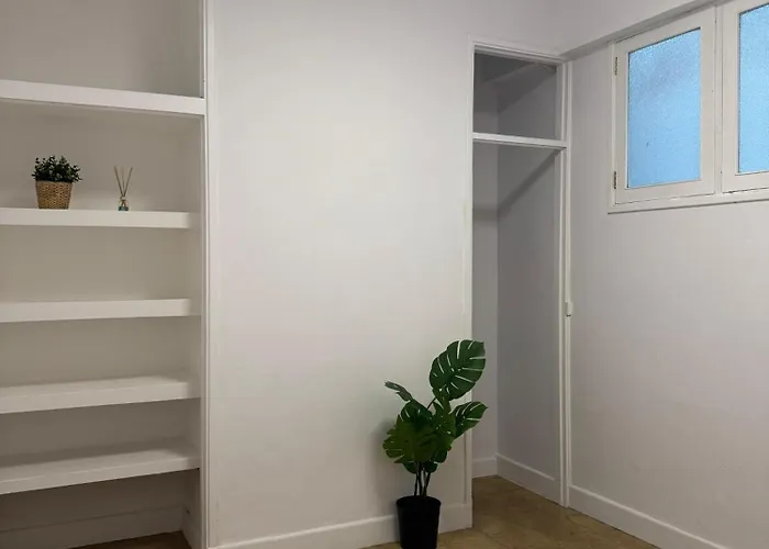 Palmas Nest Hostel Las Palmas de Gran Canaria