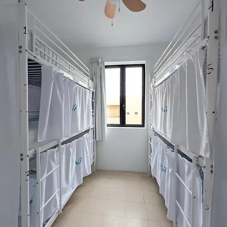 Palmas Nest *