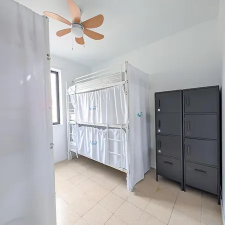 Palmas Nest *